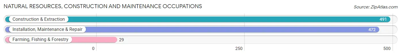 Natural Resources, Construction and Maintenance Occupations in Zip Code 42431