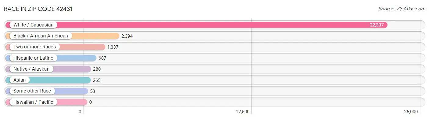 Race in Zip Code 42431