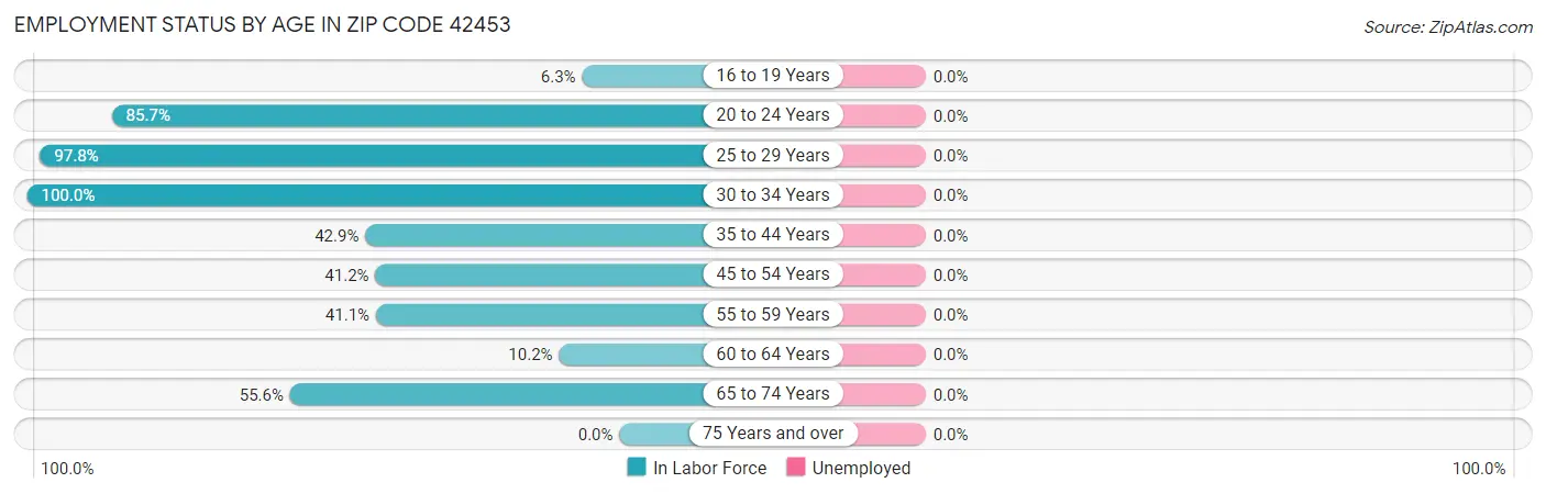 Employment Status by Age in Zip Code 42453