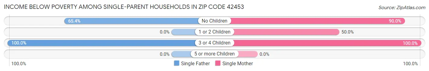 Income Below Poverty Among Single-Parent Households in Zip Code 42453