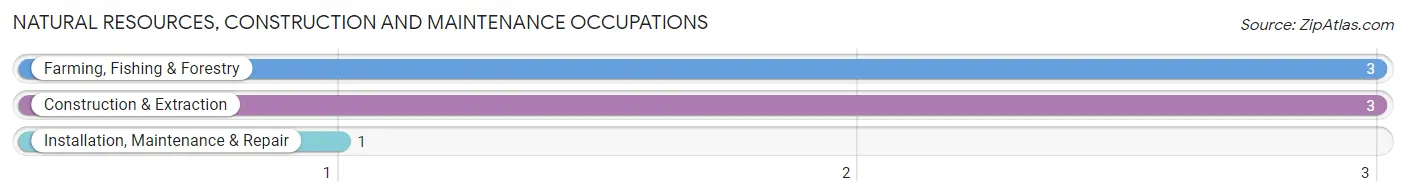 Natural Resources, Construction and Maintenance Occupations in Zip Code 42456