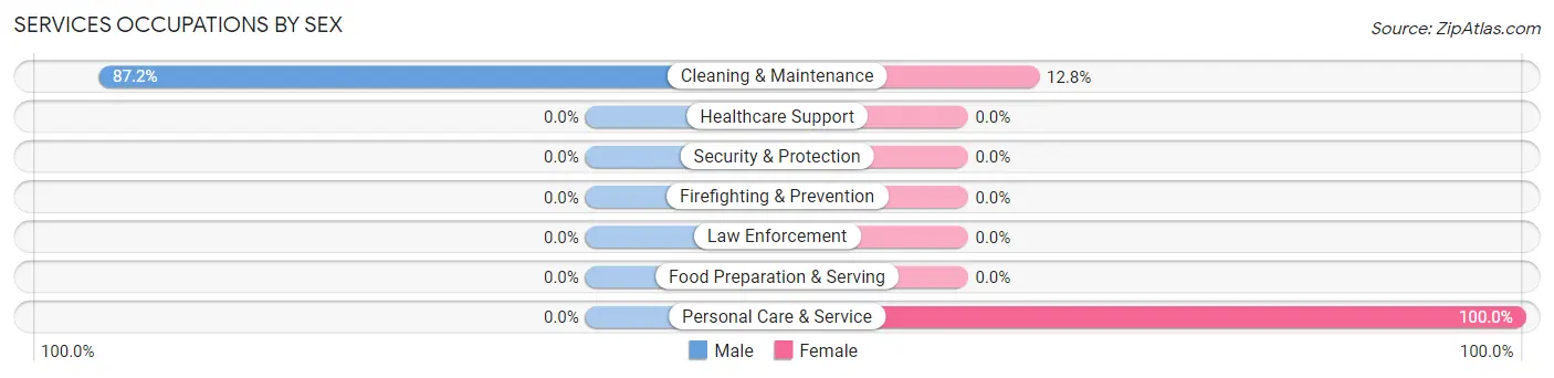 Services Occupations by Sex in Zip Code 42458