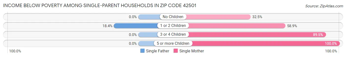 Income Below Poverty Among Single-Parent Households in Zip Code 42501