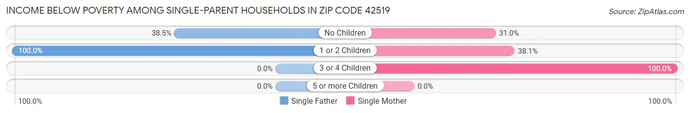 Income Below Poverty Among Single-Parent Households in Zip Code 42519