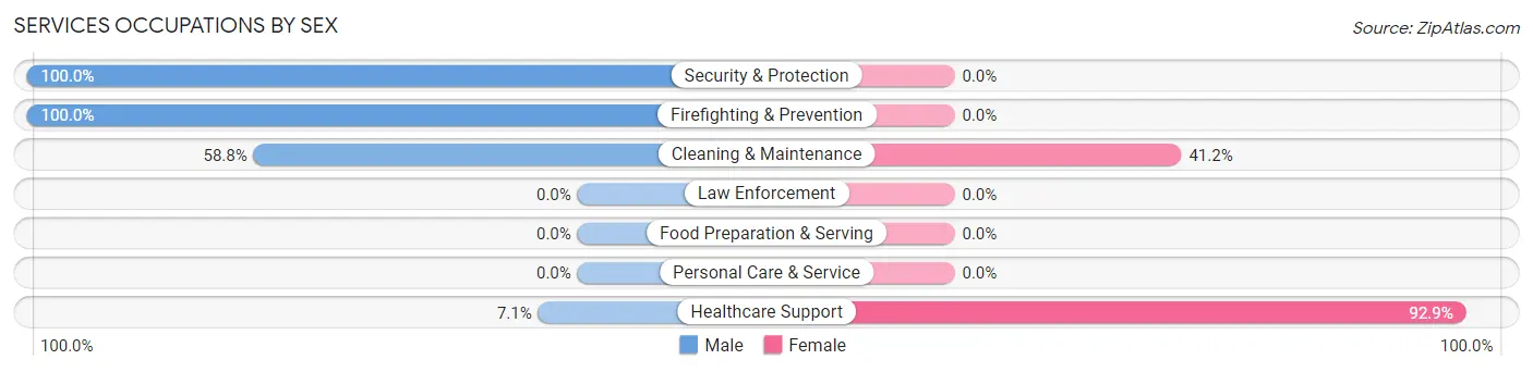Services Occupations by Sex in Zip Code 42519