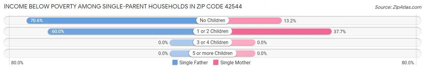 Income Below Poverty Among Single-Parent Households in Zip Code 42544
