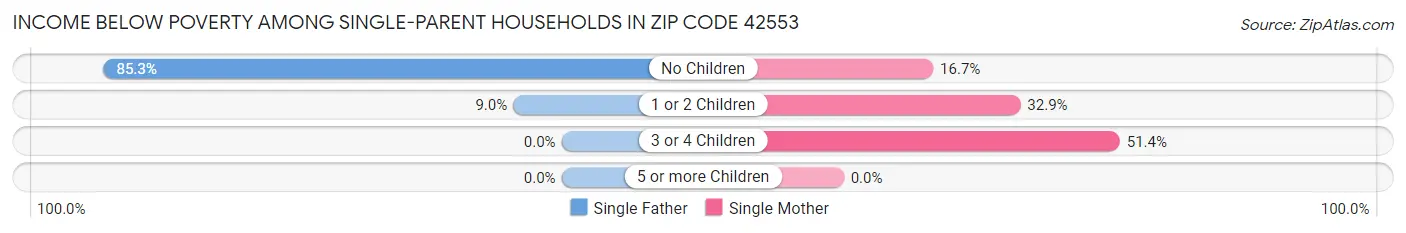 Income Below Poverty Among Single-Parent Households in Zip Code 42553