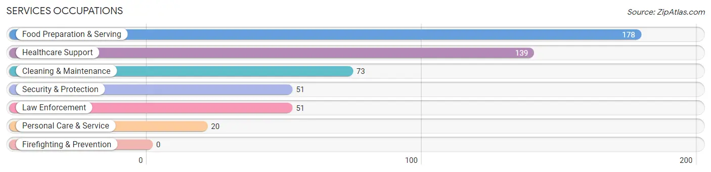 Services Occupations in Zip Code 42553