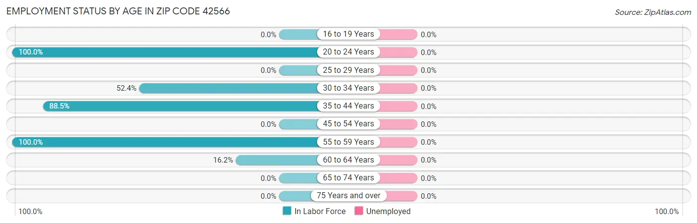 Employment Status by Age in Zip Code 42566