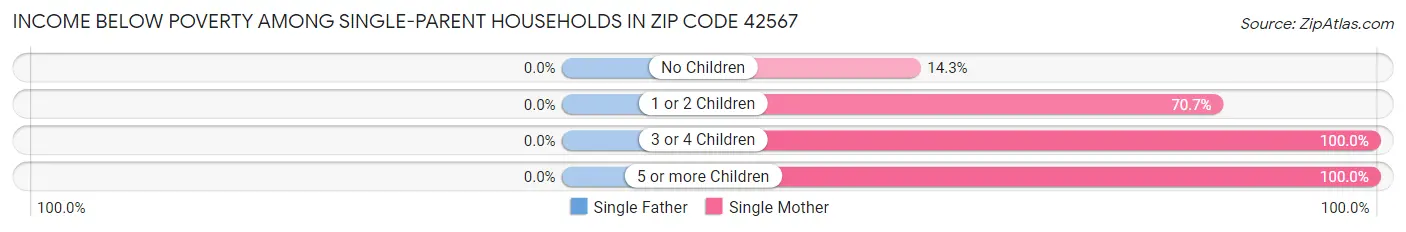 Income Below Poverty Among Single-Parent Households in Zip Code 42567