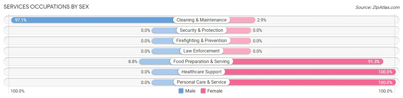 Services Occupations by Sex in Zip Code 42567
