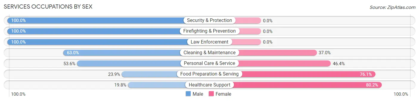Services Occupations by Sex in Zip Code 42602