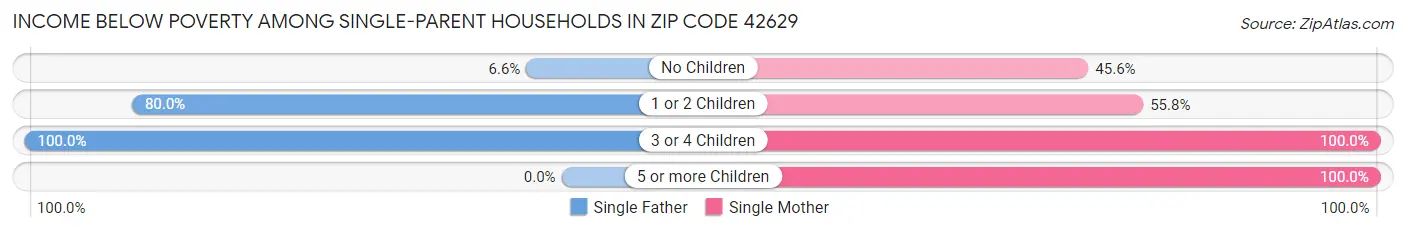 Income Below Poverty Among Single-Parent Households in Zip Code 42629