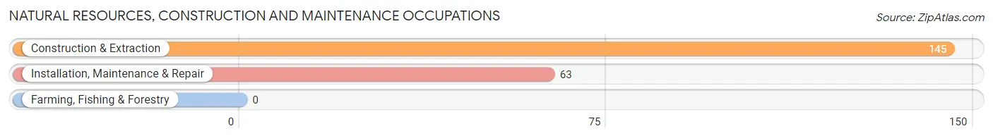 Natural Resources, Construction and Maintenance Occupations in Zip Code 42629