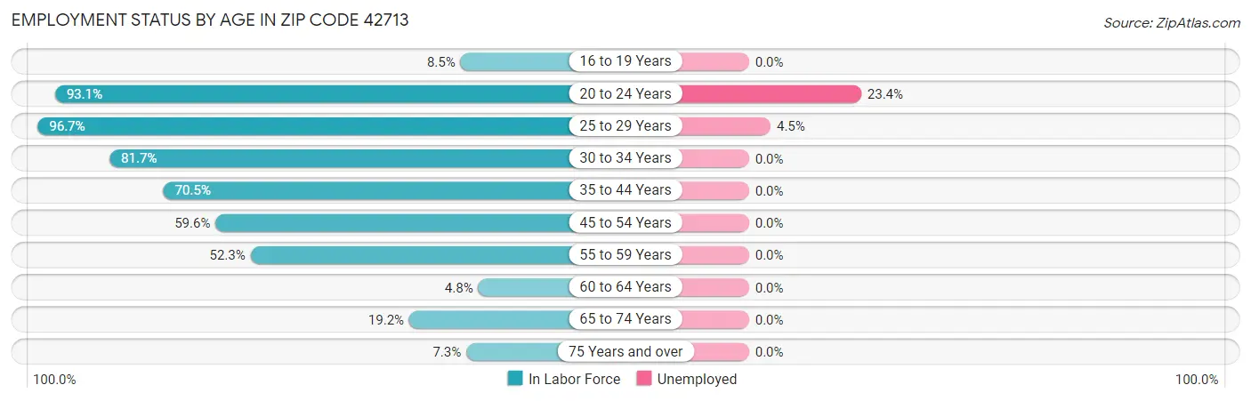 Employment Status by Age in Zip Code 42713