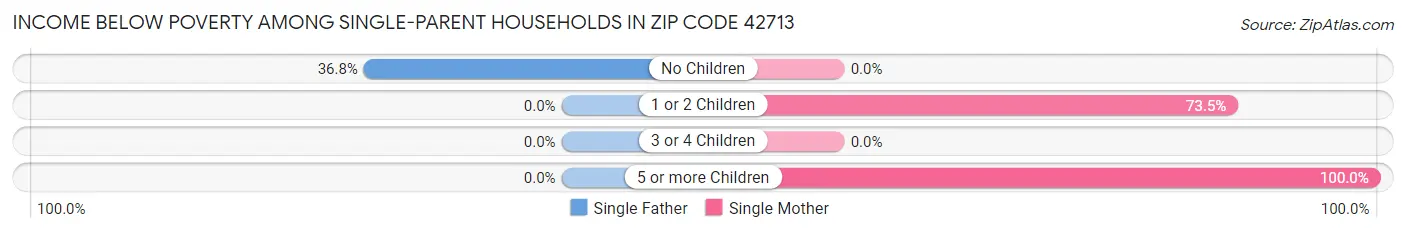 Income Below Poverty Among Single-Parent Households in Zip Code 42713