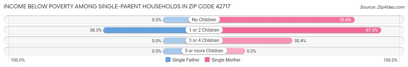 Income Below Poverty Among Single-Parent Households in Zip Code 42717