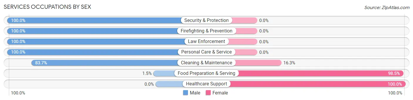 Services Occupations by Sex in Zip Code 42740