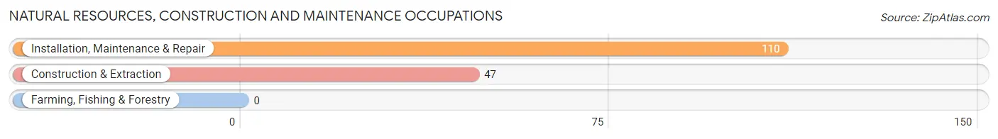 Natural Resources, Construction and Maintenance Occupations in Zip Code 42749