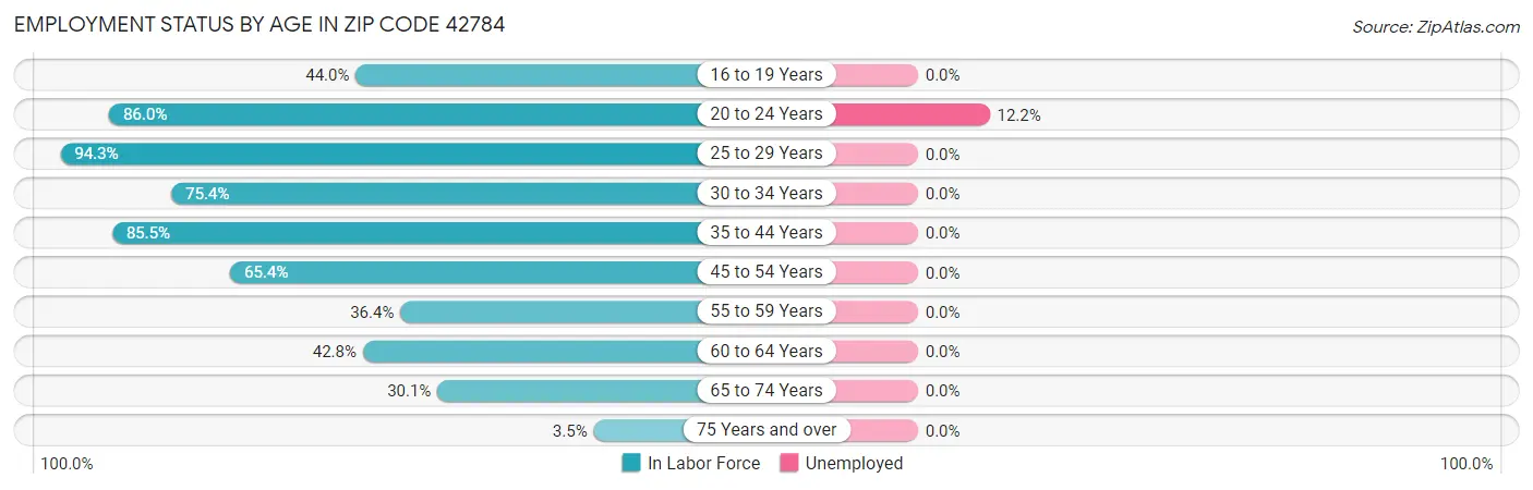 Employment Status by Age in Zip Code 42784