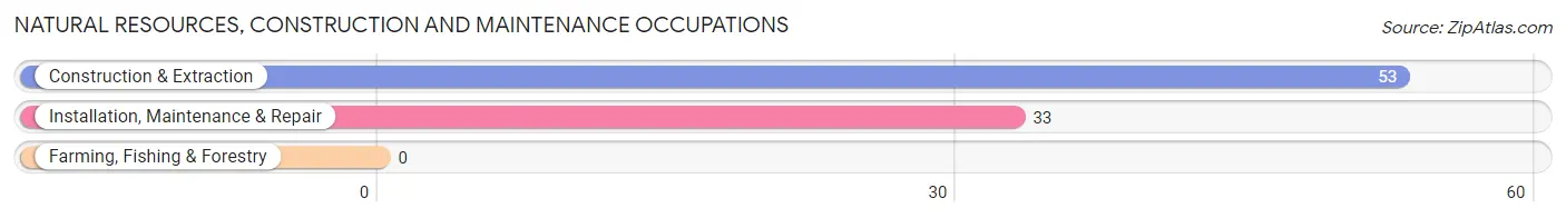 Natural Resources, Construction and Maintenance Occupations in Zip Code 43022