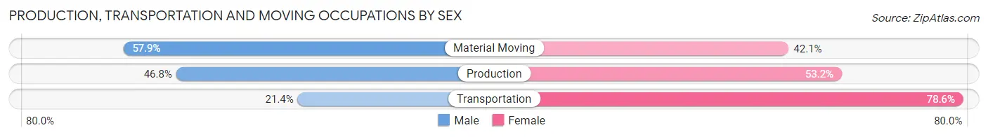Production, Transportation and Moving Occupations by Sex in Zip Code 43045
