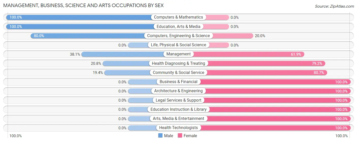 Management, Business, Science and Arts Occupations by Sex in Zip Code 43106