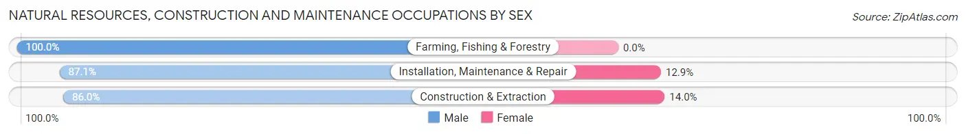 Natural Resources, Construction and Maintenance Occupations by Sex in Zip Code 43125