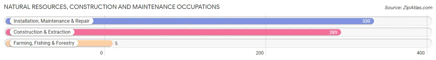 Natural Resources, Construction and Maintenance Occupations in Zip Code 43219