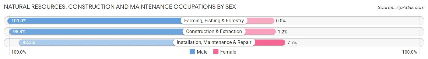 Natural Resources, Construction and Maintenance Occupations by Sex in Zip Code 43318