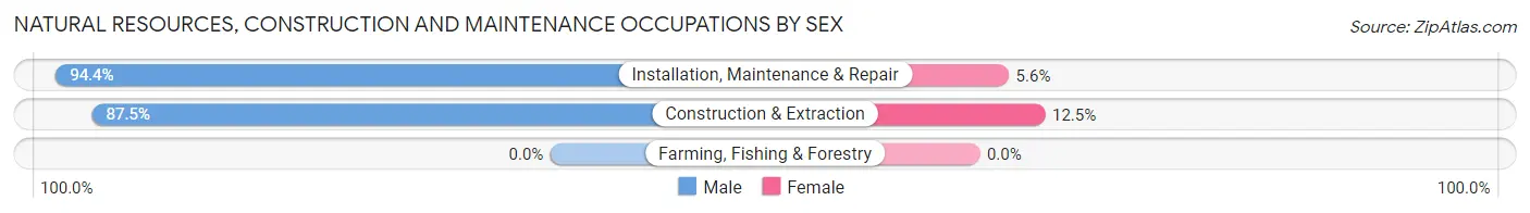 Natural Resources, Construction and Maintenance Occupations by Sex in Zip Code 43347