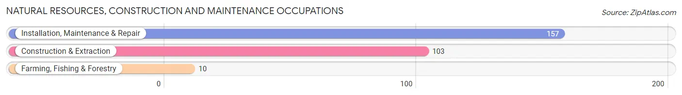 Natural Resources, Construction and Maintenance Occupations in Zip Code 43430