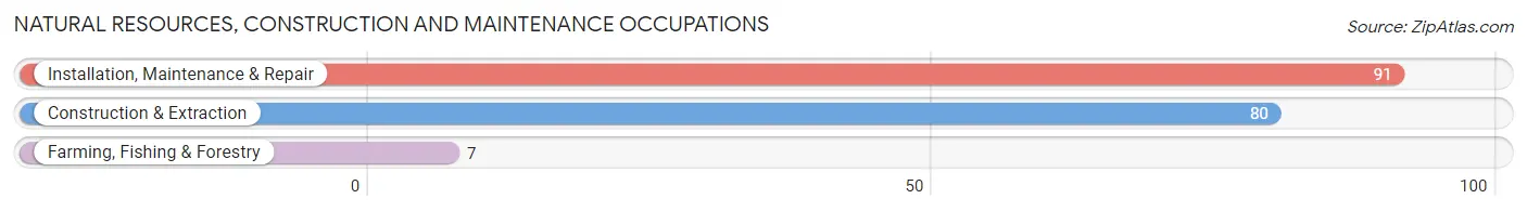 Natural Resources, Construction and Maintenance Occupations in Zip Code 43466