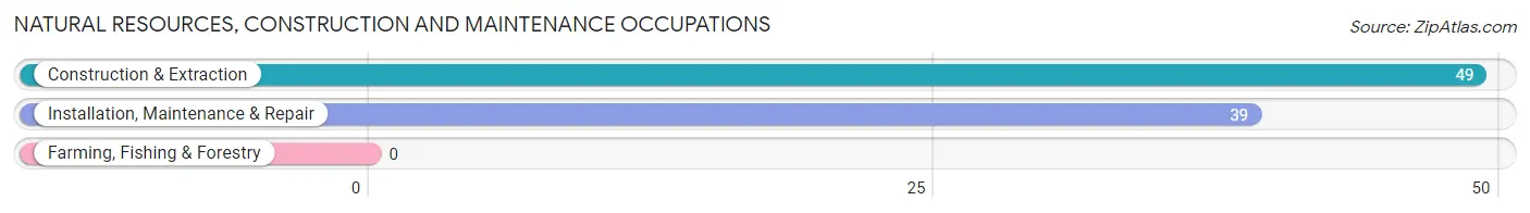 Natural Resources, Construction and Maintenance Occupations in Zip Code 43533