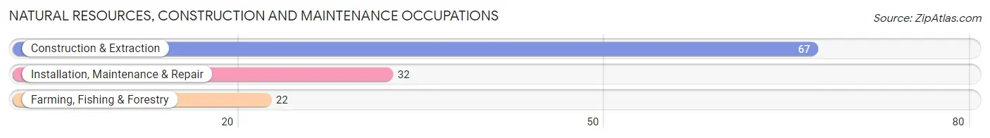 Natural Resources, Construction and Maintenance Occupations in Zip Code 43569