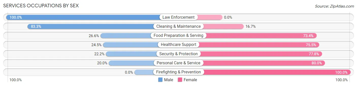 Services Occupations by Sex in Zip Code 43570