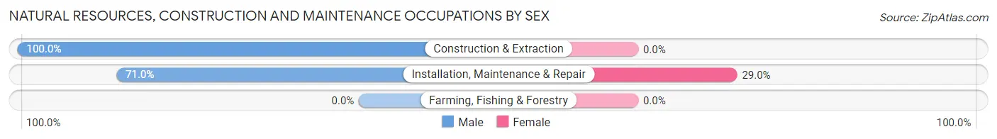 Natural Resources, Construction and Maintenance Occupations by Sex in Zip Code 43608