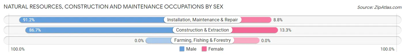Natural Resources, Construction and Maintenance Occupations by Sex in Zip Code 43610