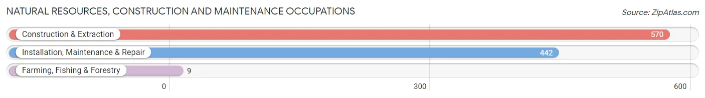 Natural Resources, Construction and Maintenance Occupations in Zip Code 43616