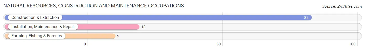 Natural Resources, Construction and Maintenance Occupations in Zip Code 43755