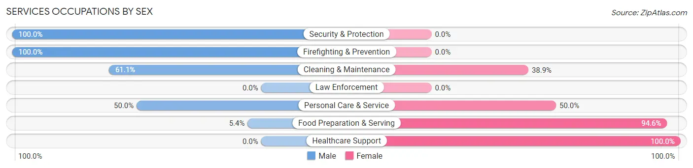 Services Occupations by Sex in Zip Code 43804