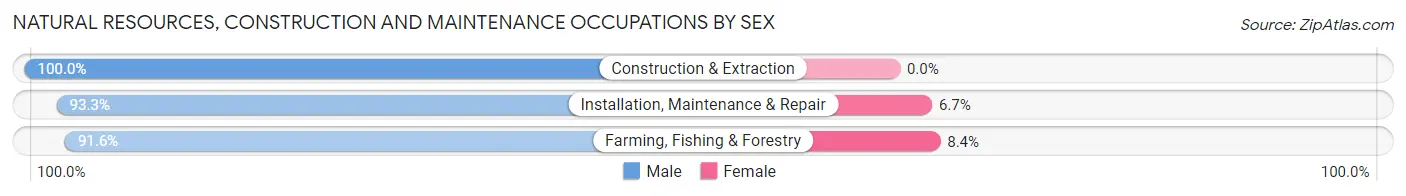 Natural Resources, Construction and Maintenance Occupations by Sex in Zip Code 43812