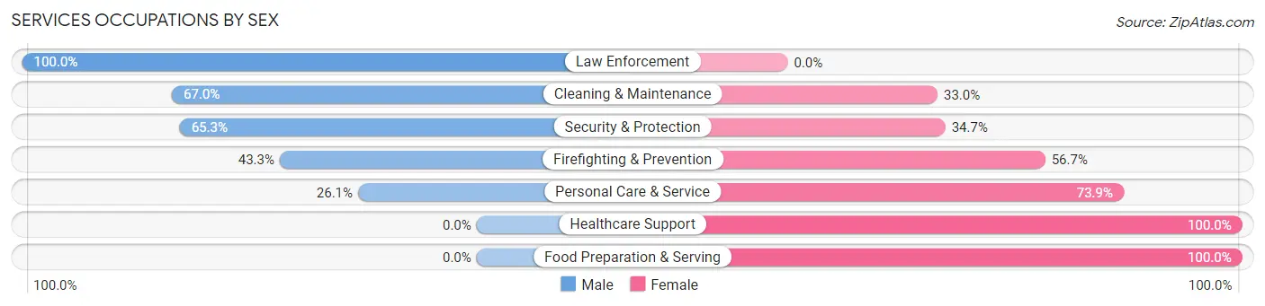 Services Occupations by Sex in Zip Code 43832