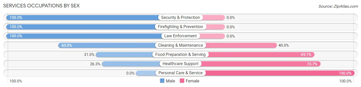 Services Occupations by Sex in Zip Code 43910