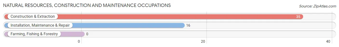 Natural Resources, Construction and Maintenance Occupations in Zip Code 43915