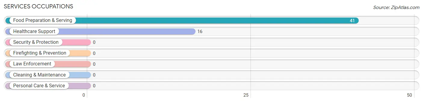 Services Occupations in Zip Code 43933