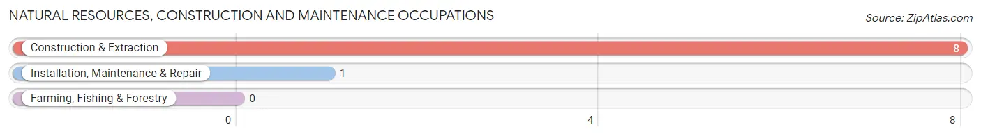 Natural Resources, Construction and Maintenance Occupations in Zip Code 43961