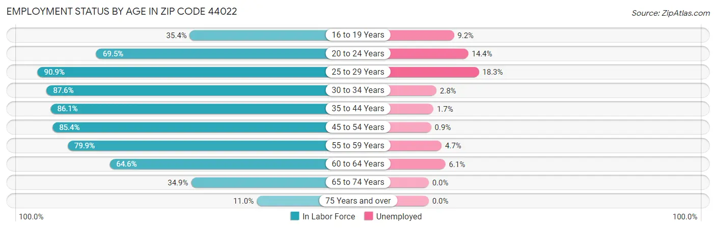 Employment Status by Age in Zip Code 44022