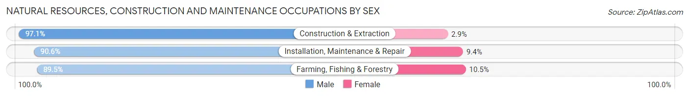 Natural Resources, Construction and Maintenance Occupations by Sex in Zip Code 44035
