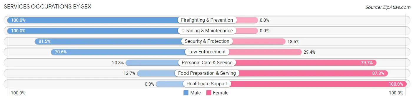 Services Occupations by Sex in Zip Code 44040